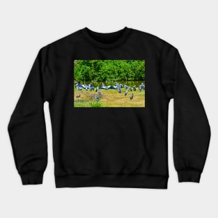 Cranes Crewneck Sweatshirt